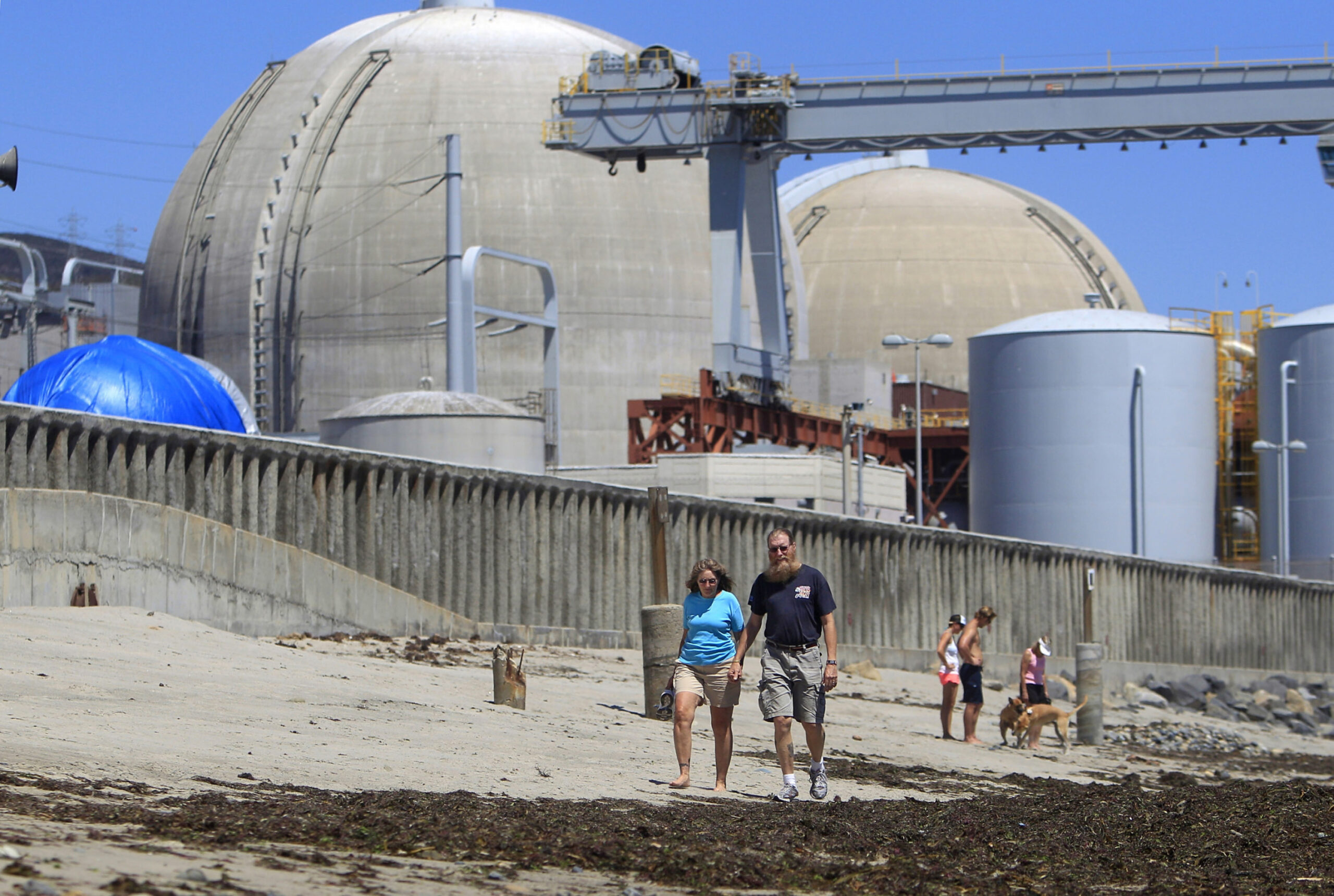 Inspector faults regulator on nuke plant review