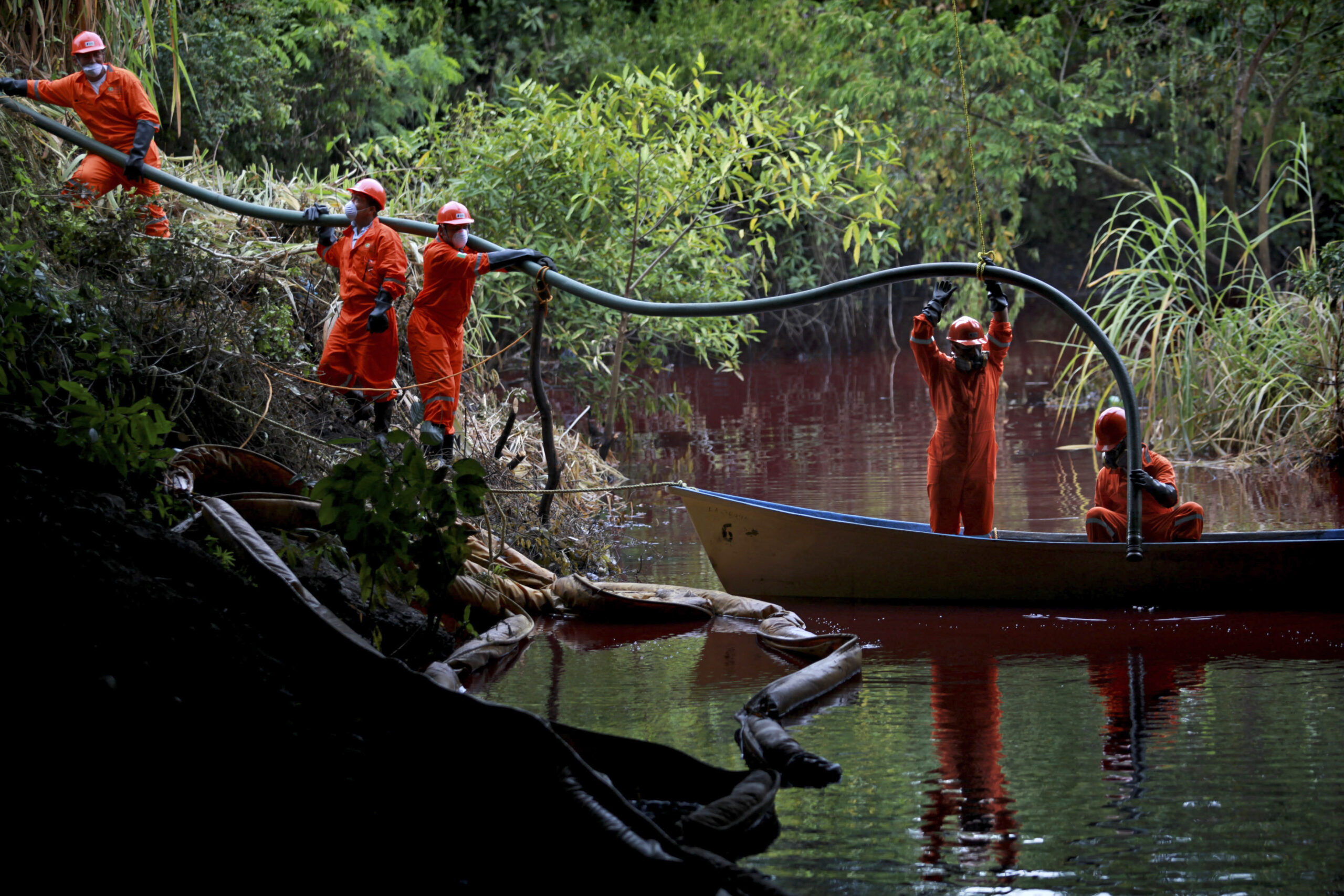 Mexico sees massive fish die-off at lake