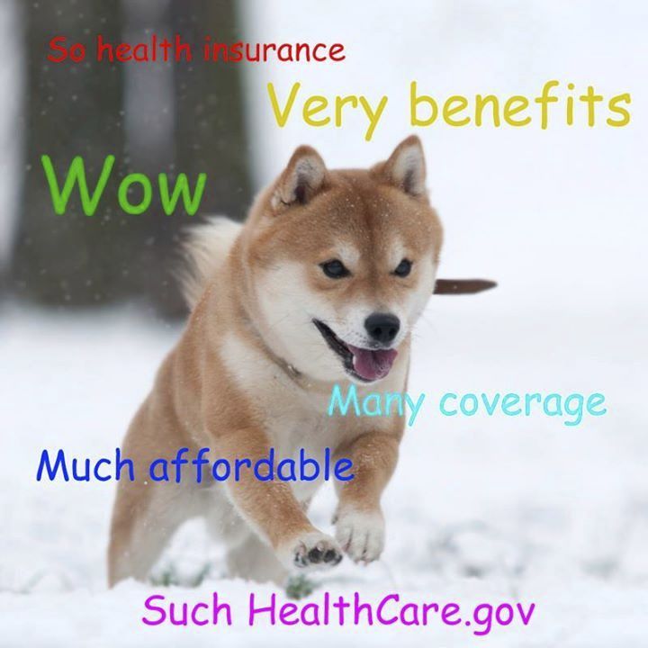The Department of Health and Human Services posted a doge meme geared toward Obamacare last week.