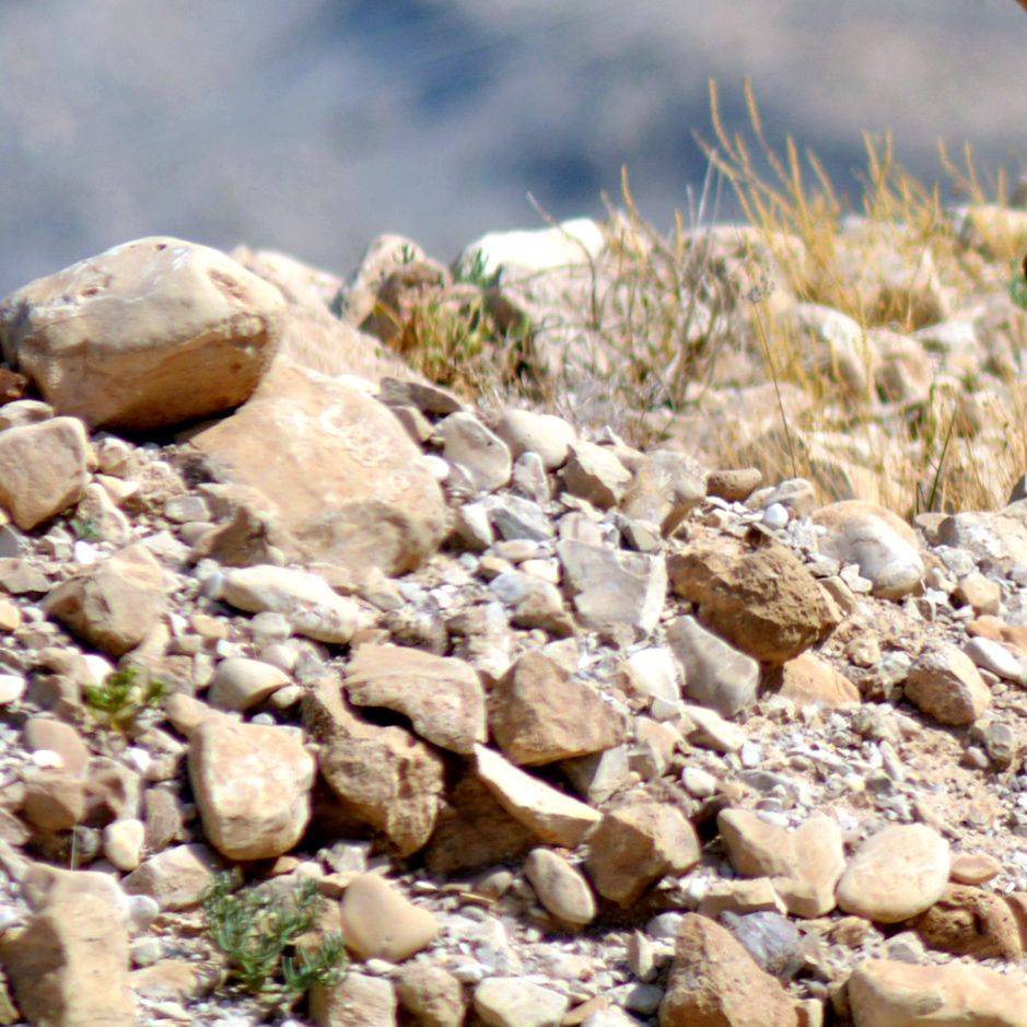 Mysterious Headline Appears in Paper