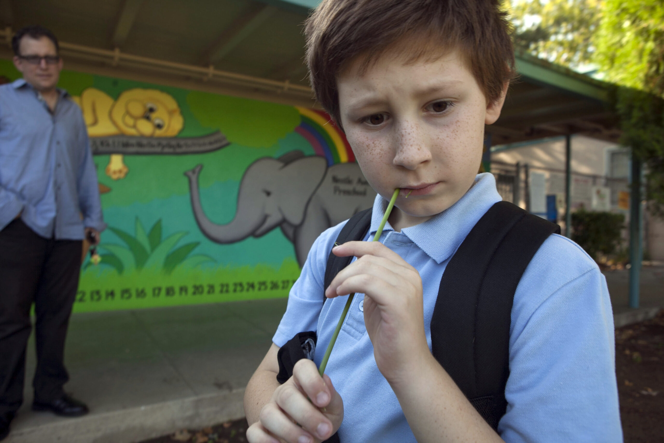 Parents are most satisfied when they choose their own school