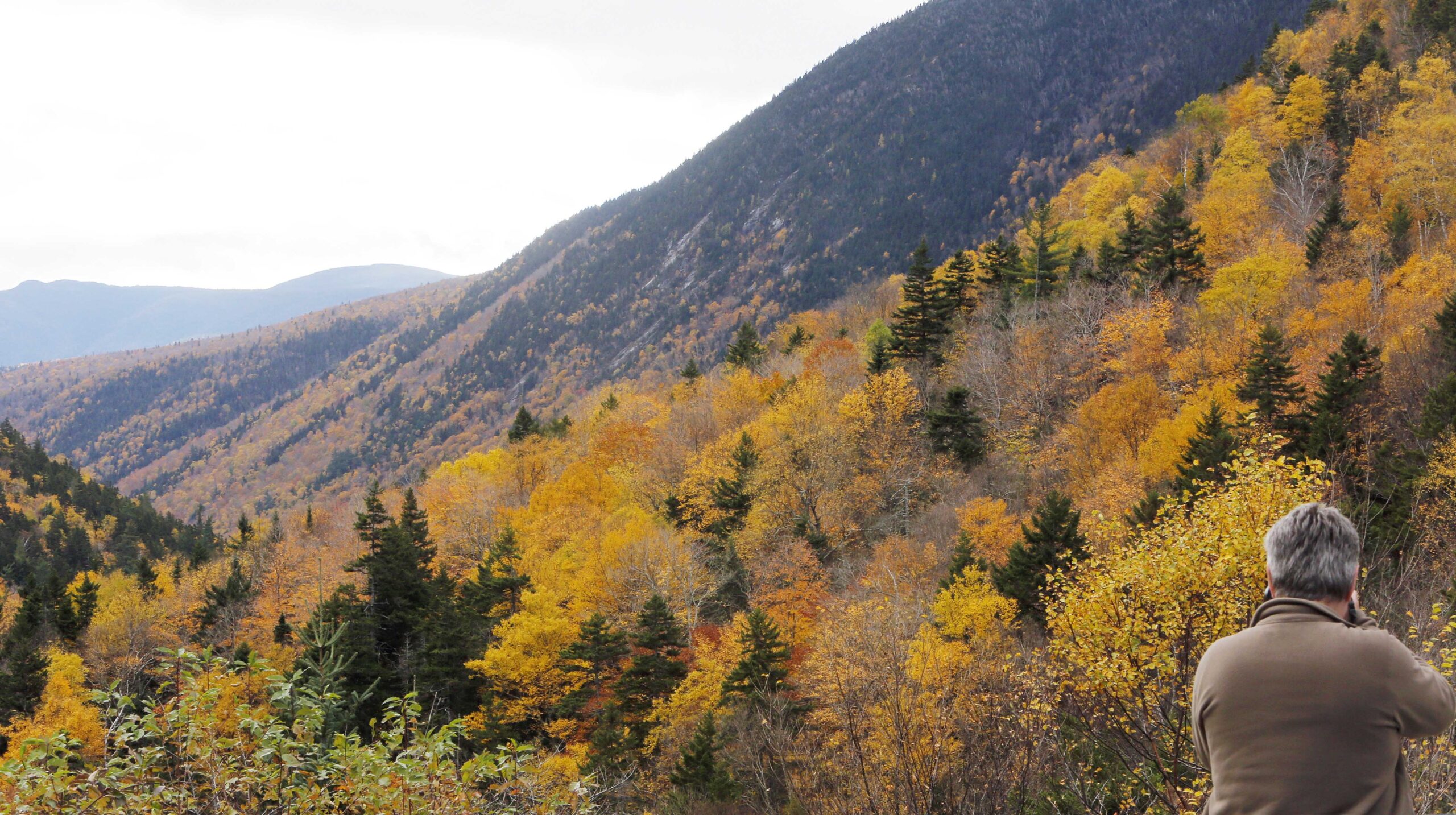 New England raking in millions from leaf peepers