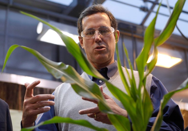 Former Pennsylvania Sen. Rick Santorum looks at corn plants during a tour of Pioneer Hi-Bred Carver Center in Johnston, Iowa. (AP/Chris Carlson)