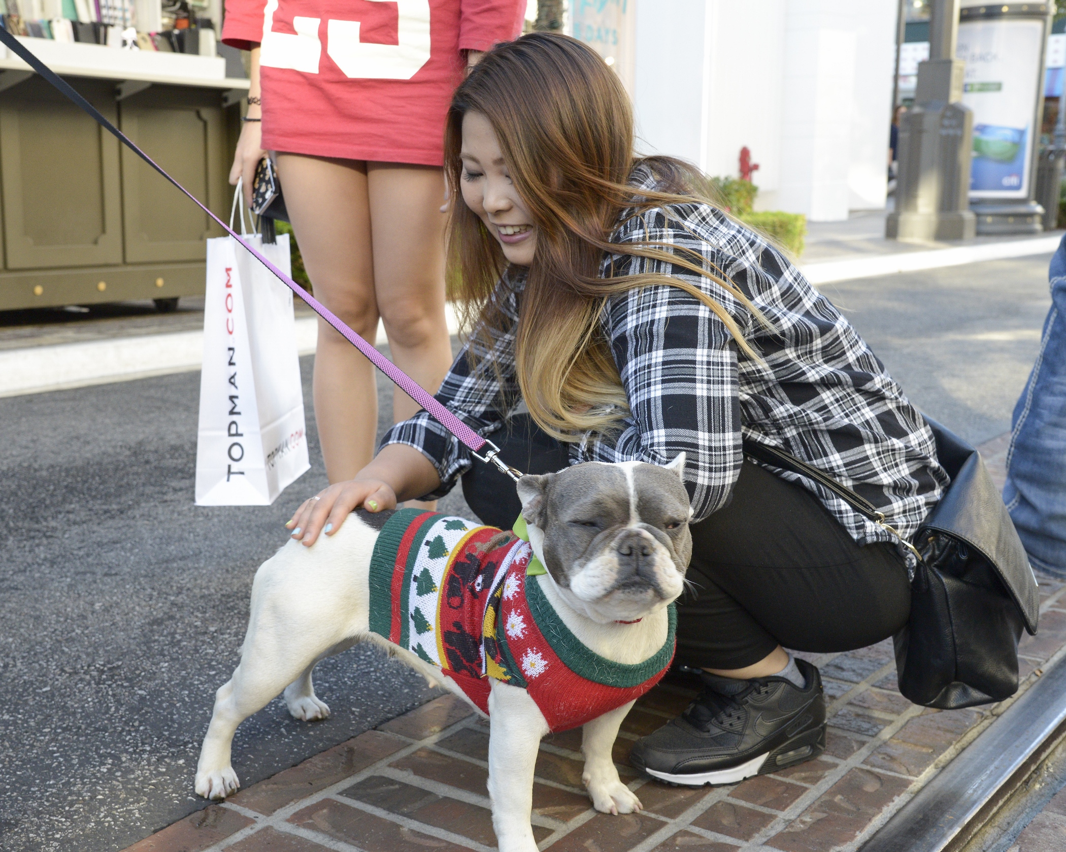California ban on pet sales would strip longstanding con­­sumer protections