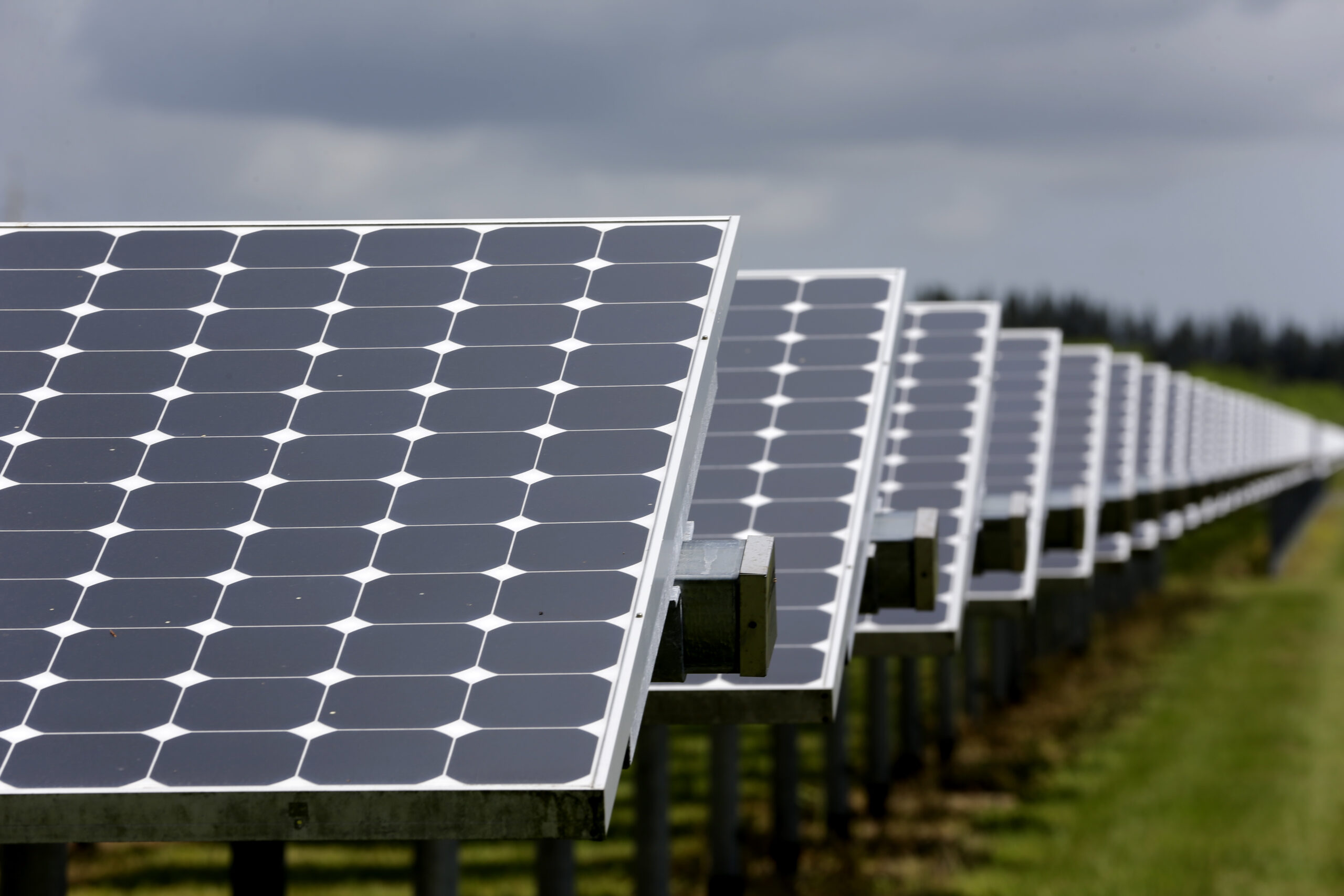 Senate should stop funding failure, repeal green subsidies