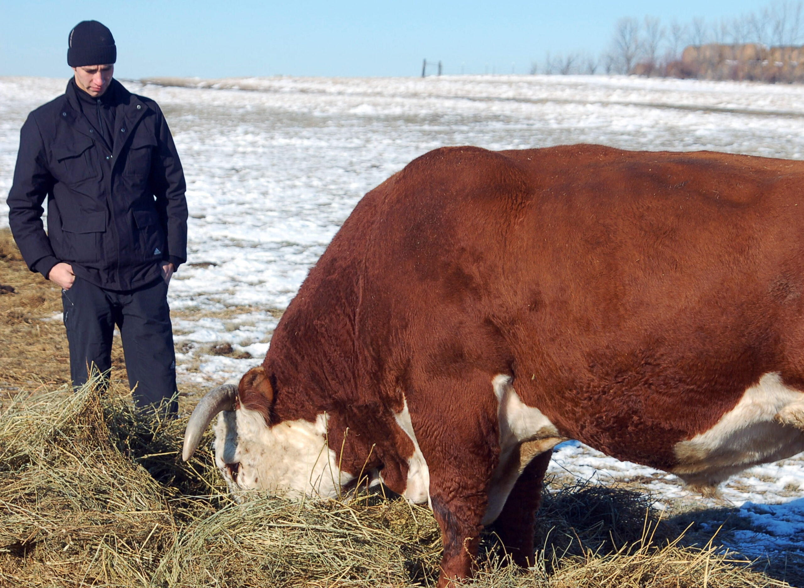 Kazakh cowboys tour ND, get cattle-tending tips