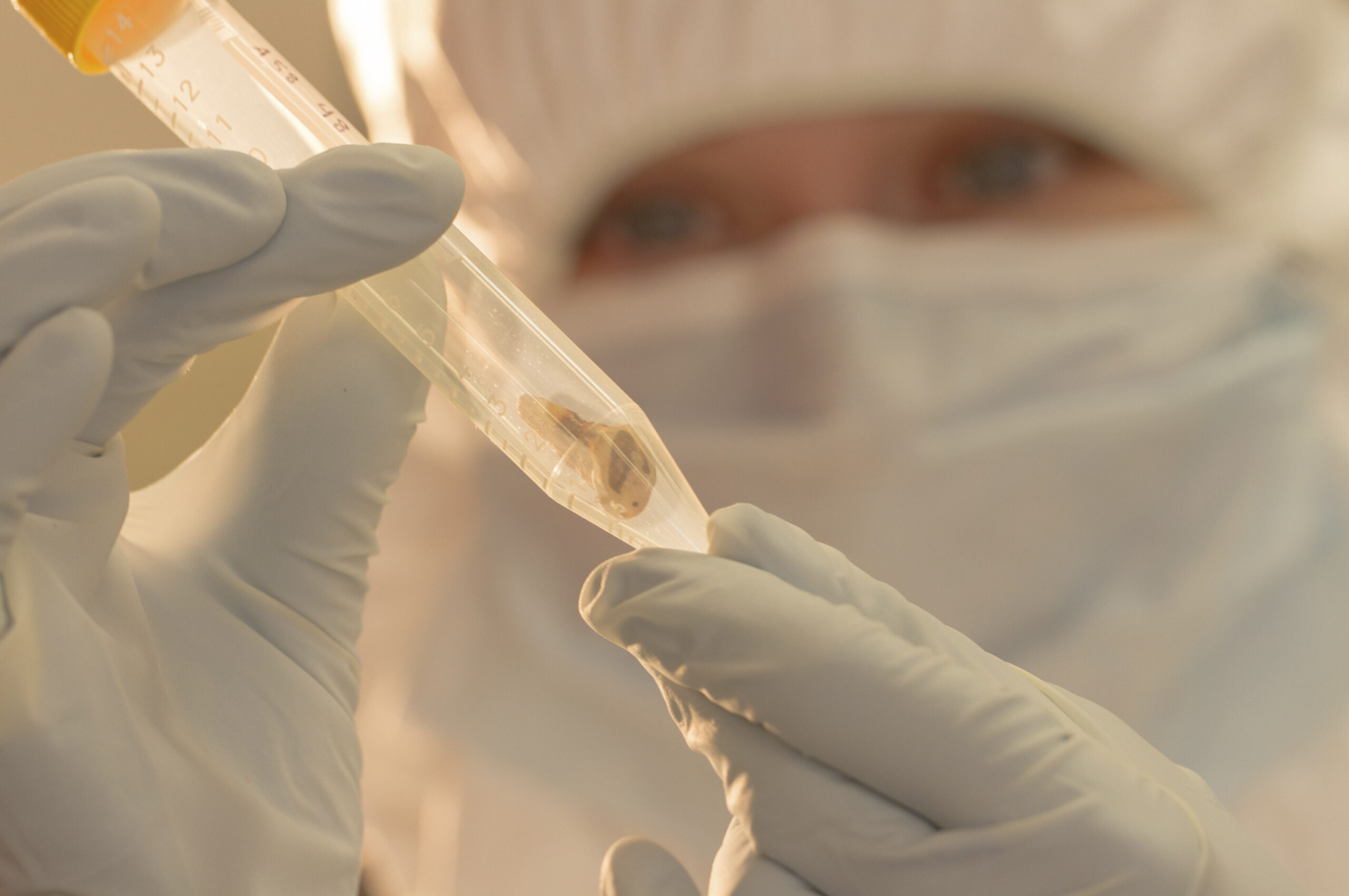 Scientists find ancient plague DNA in teeth