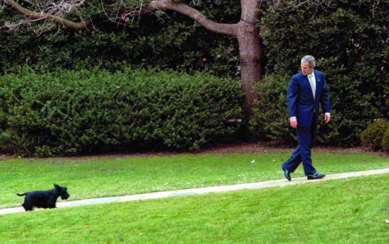 PETA offers doggy guidance to Bushes