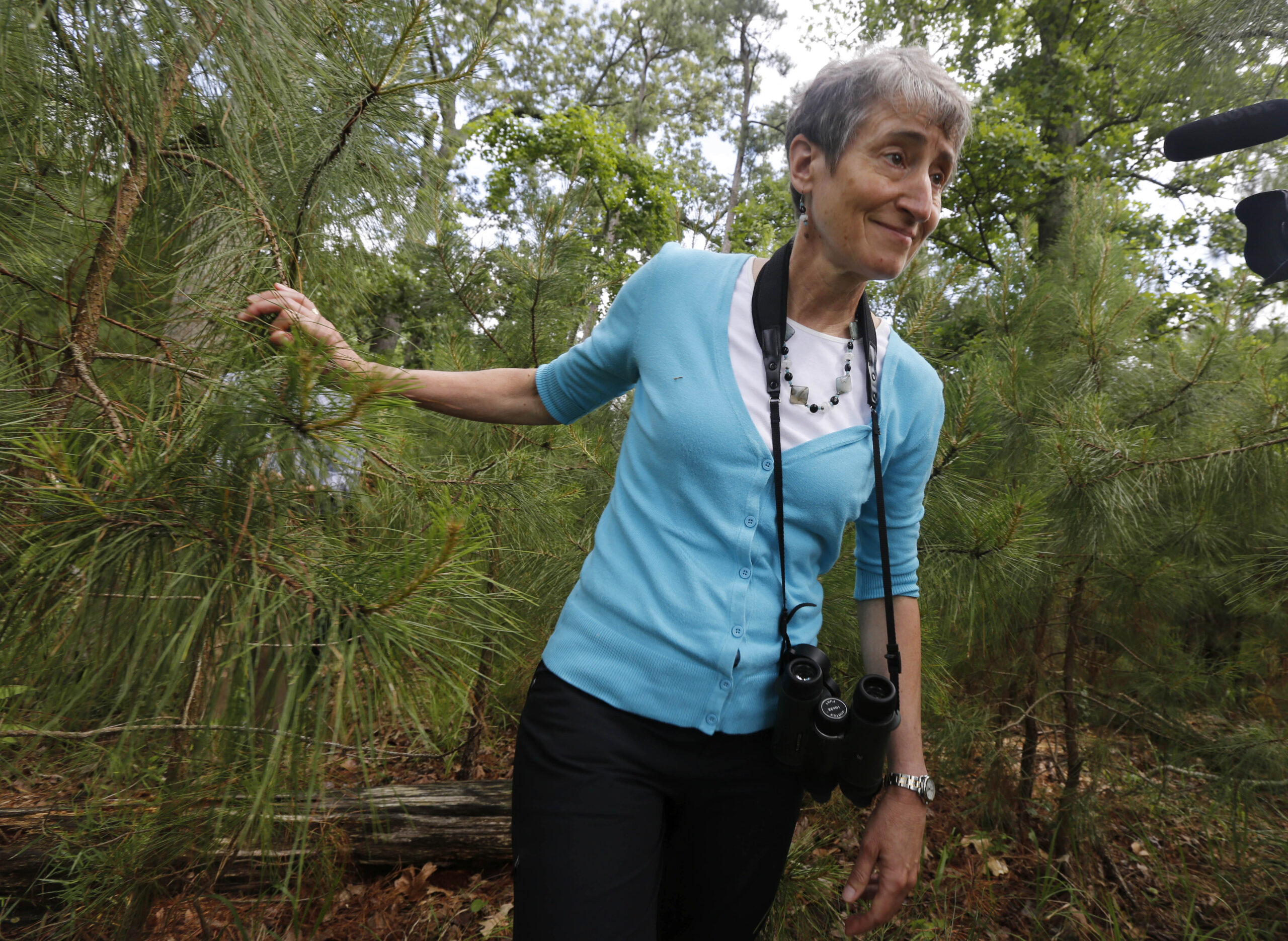 Interior Secretary Sally Jewell hits Capitol Hill to drum up support for conservation program