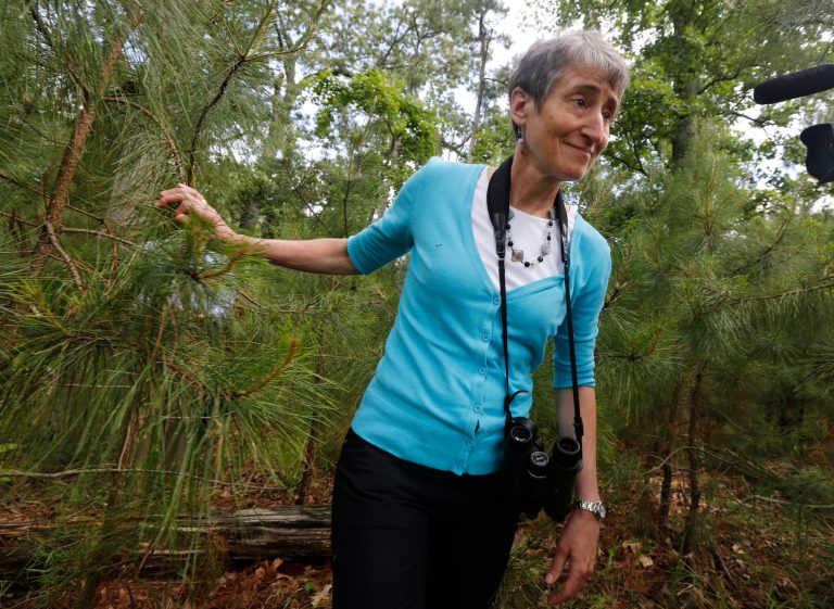 Interior Secretary Sally Jewell is making the rounds on Capitol Hill in hopes of swaying lawmakers to fully fund and permanently reauthorize a 50-year-old conservation program that expires next year. (AP/Steve Helber)