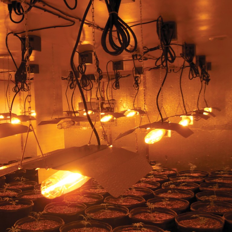 It Wasn’t Supposed to Work This Way