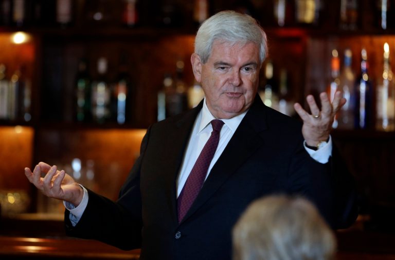 Former House Speaker Newt Gingrich speaks during a fundraiser for Missouri Republican Senate candidate, Rep. Todd Akin, R-Mo., Monday, Sept. 24, 2012, in Kirkwood, Mo. Akin is seeking to unseat incumbent Sen. Claire McCaskill, D-Mo. in the November election. (AP Photo/Jeff Roberson)
