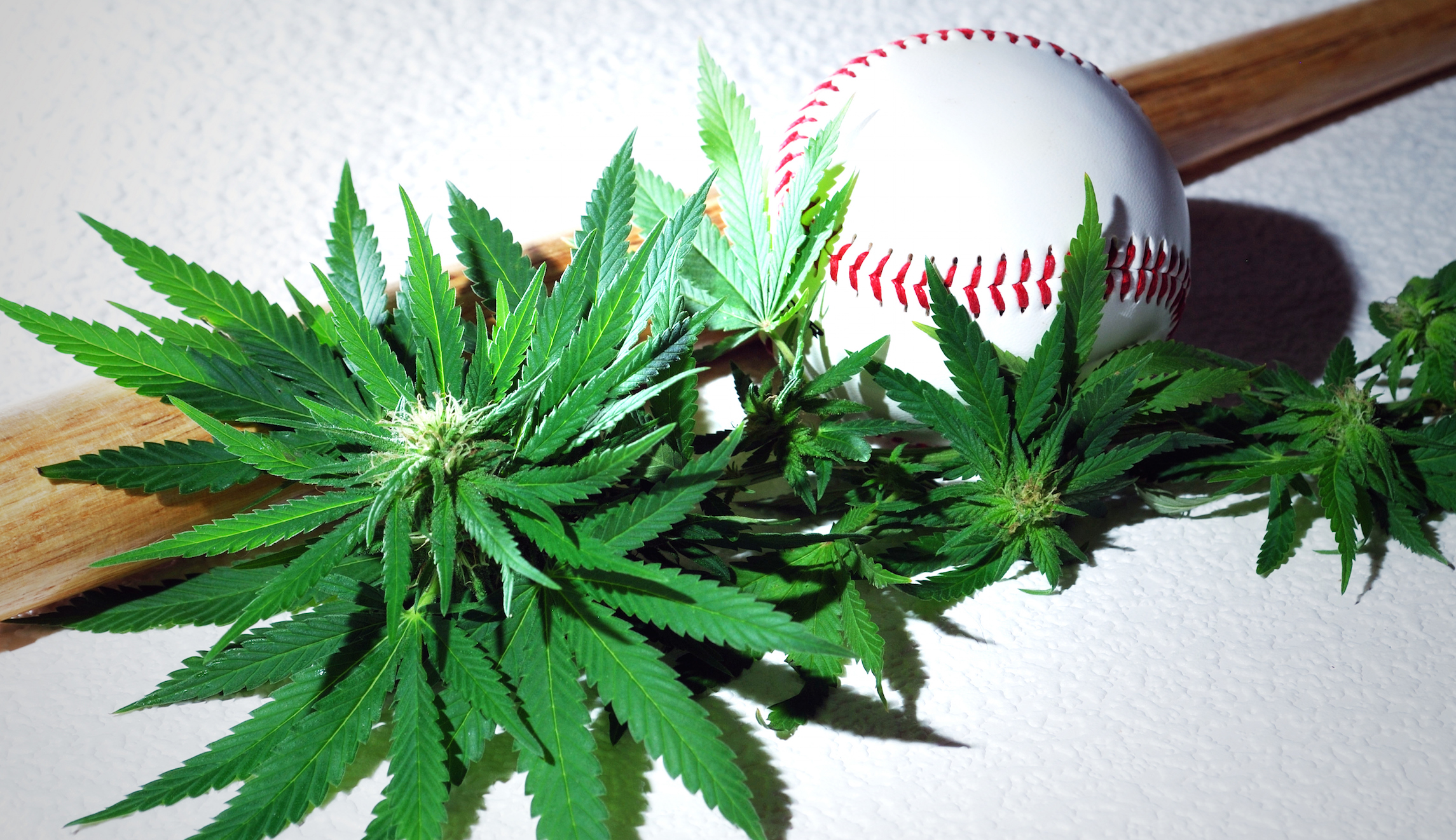 Baseball coach fired after refusing to recruit students from states where pot is legal