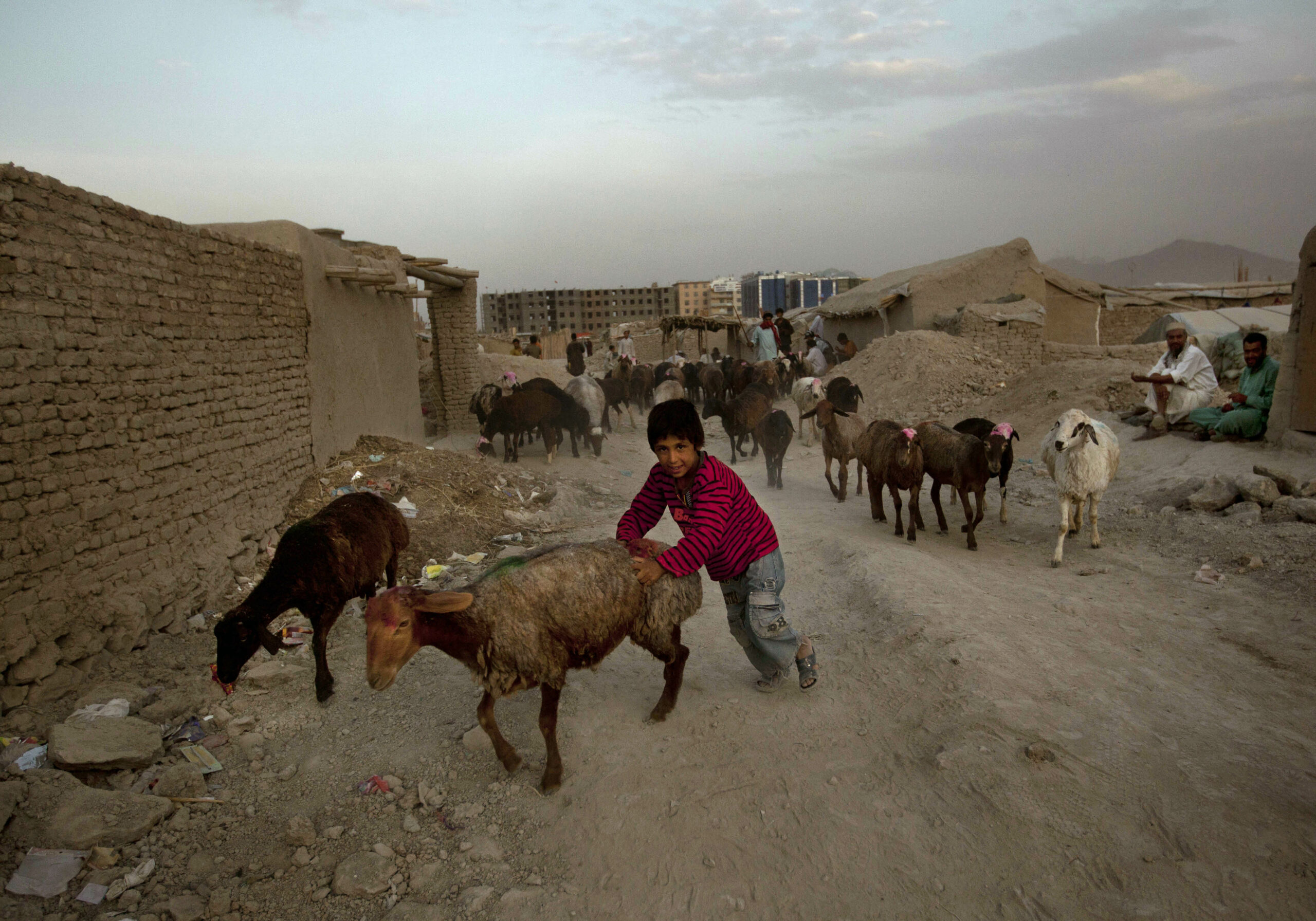 Watchdog questions costs by conservation contractor in Afghanistan