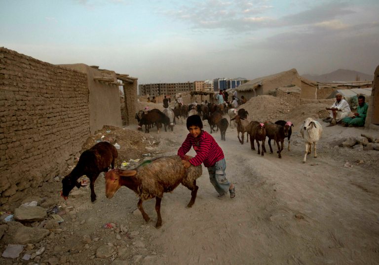 An inspector general audit found $1.2 million of $4.6 million spent by a wildlife group was unsupported. (AP Photo/Dar Yasin)