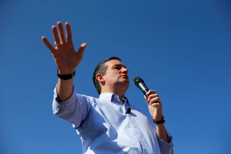 Republican presidential candidate, Sen. Ted Cruz, R-Texas, speaks at the Iowa State Fair, Friday, Aug. 21, 2015, in Des Moines, Iowa. (AP Photo/Paul Sancya)