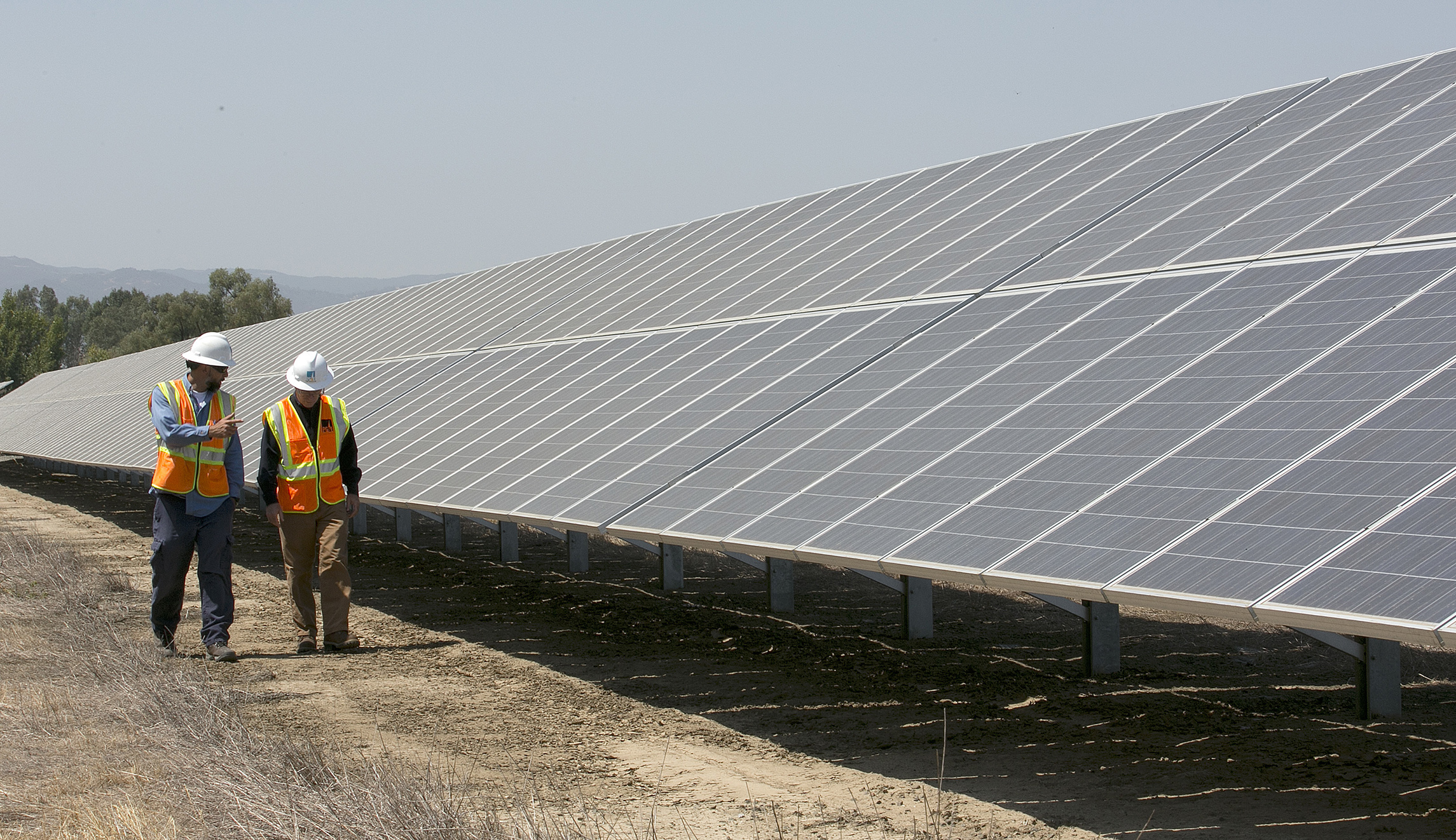 Thriving solar industry braces for Trump’s decision on tariffs