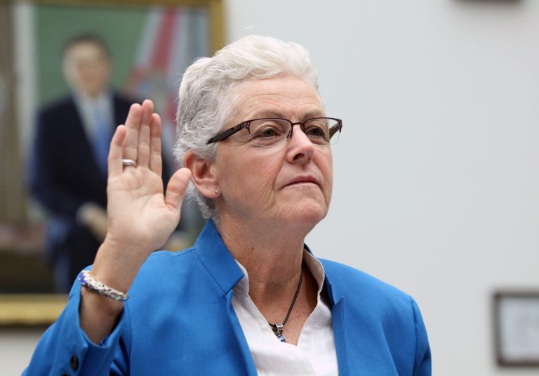 EPAÂ Administrator Gina McCarthy testified before a joint committees hearing on the Gold King mine spill. The Interior Department is blaming the EPAÂ for a 3-million gallon spill of toxic sludge that sullied the waterways of three states.Â (AP Photo/Lauren Victoria Burke)
