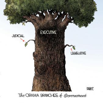 The Obama Branches of Government
