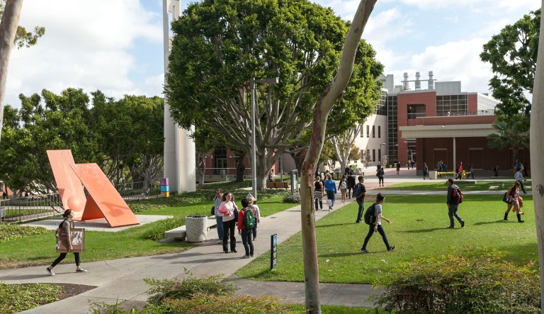 California State University, Long Beach is looking for someone 