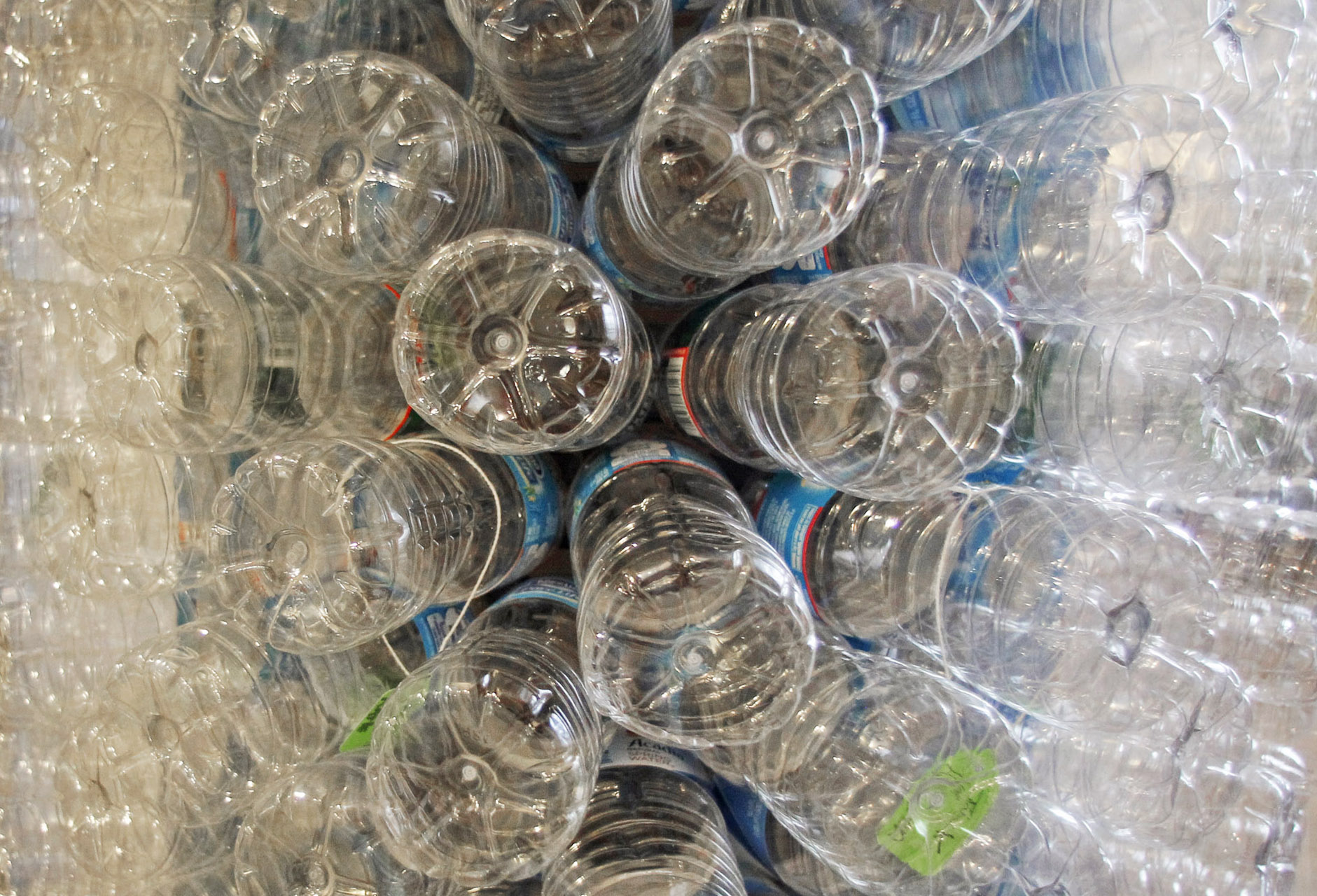 Taxpayer-funded anti-BPA activism is the real danger