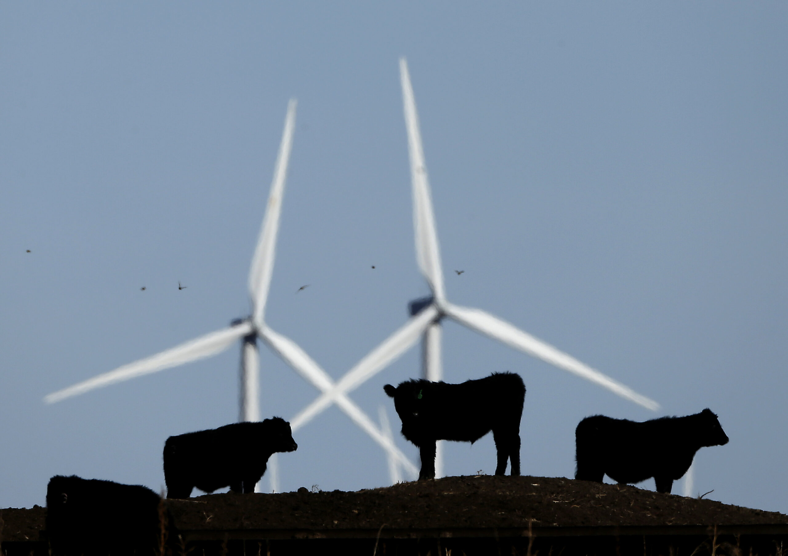 Congress’ tax bill would cause mad scramble for new wind energy projects