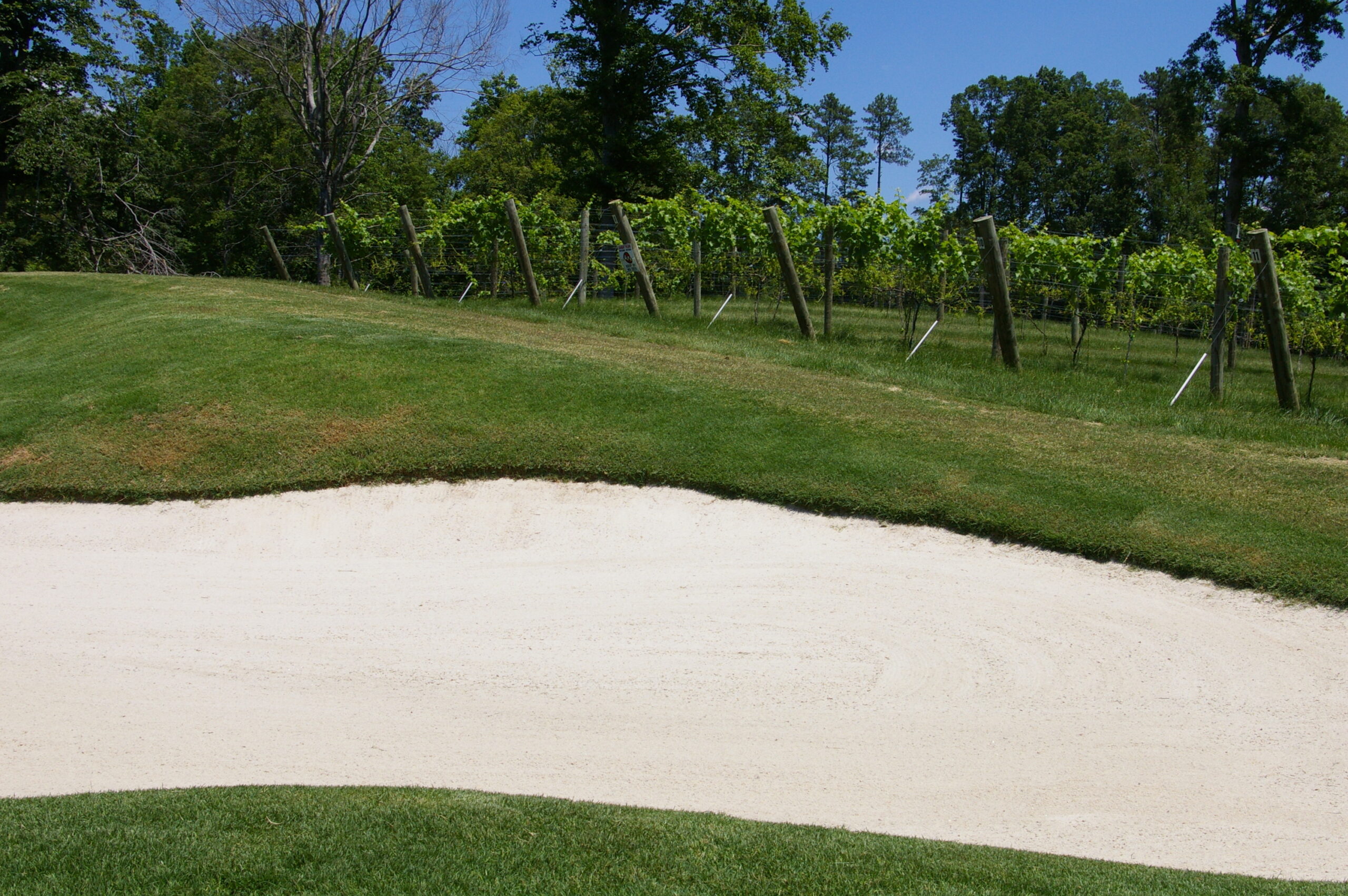 Course Review — The Club at Viniterra