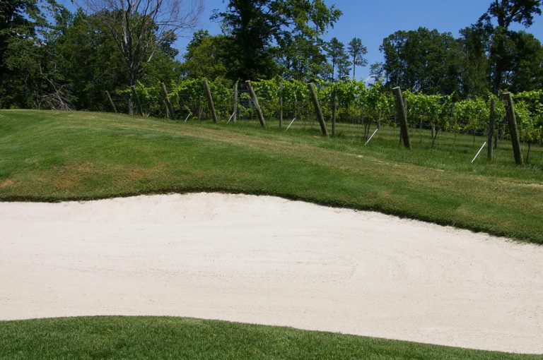 Course Review — The Club at Viniterra