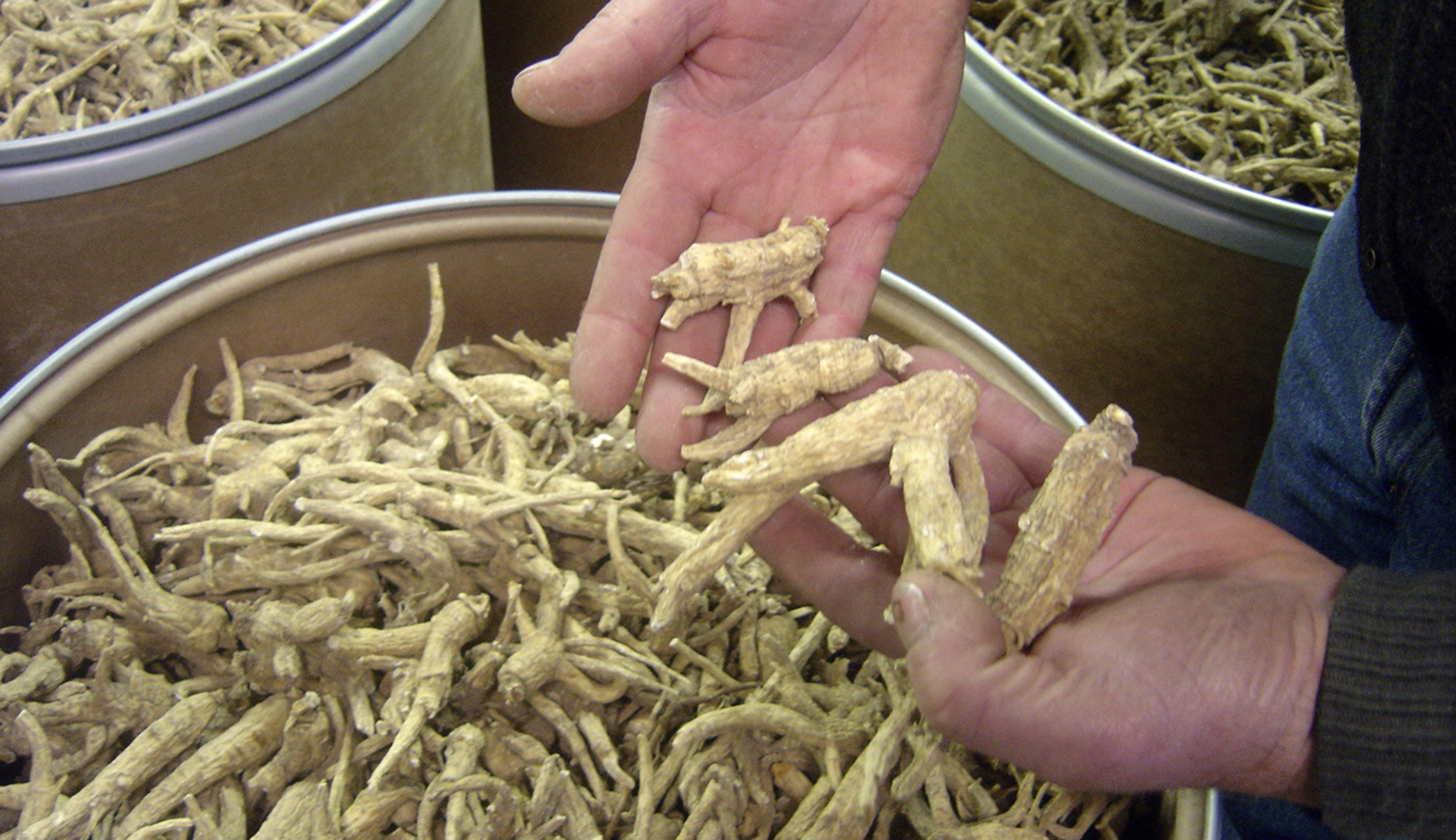 Watch ginseng exports to China and this Wisconsin county to read Trump’s 2020 tea leaves