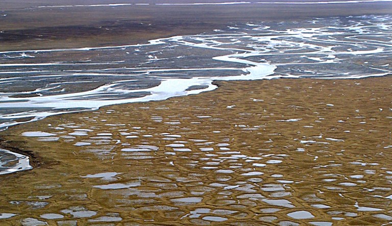 Democrats have long been successful in blocking Republican efforts to allow energy exploration in a 1.5 million acre section of the 19.6 million acres of ANWR known as the â1002 area,â where billions of barrels of crude oil lie beneath the coastal plain.