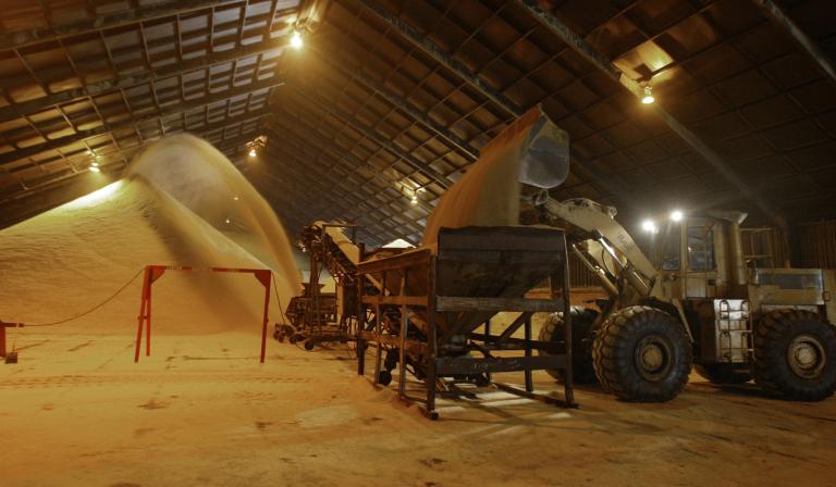 ** ADVANCE FOR SUNDAY, NOV. 16 ** A front-end loader dumps raw sugar into a sugar cane slinger at U.S. Sugar's Clewiston, Fla., mill Monday, Nov. 10, 2003. In Clewiston, almost 7,500 residents depend on the sugar industry, which along with citrus growers and labor unions has staged some of the strongest opposition ahead of the Free Trade Area of the Americas meeting in Miami that starts Sunday.