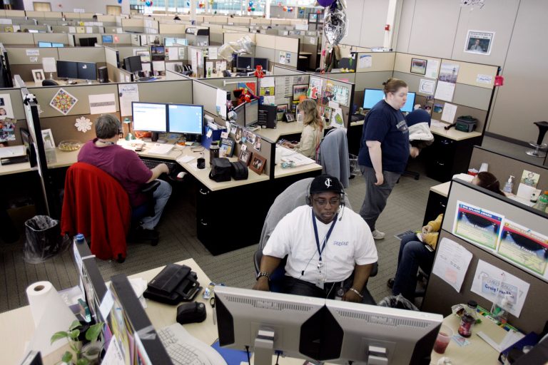 Various workers sit in their office cubicles and work on their computers.
