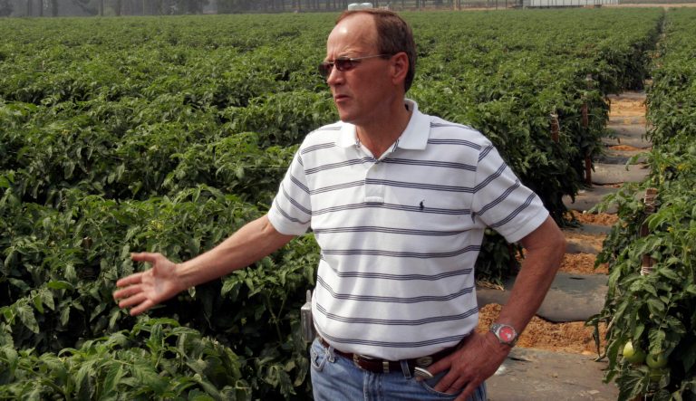 Bill Brim of the Lewis Taylor Farms in Tifton, Ga. looks over a huge crop of tomatoes as he talks, Thursday, May 31, 2007. May set records for dry conditions in the state. 