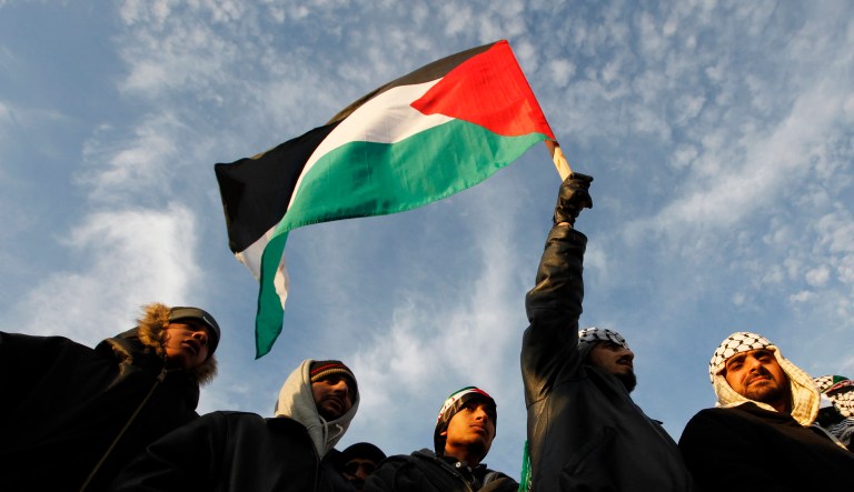 A man holds a Palestinian flag as Arab-Americans and others gather in Dearborn, Mich., to protest Israeli military strikes against the Gaza Strip.