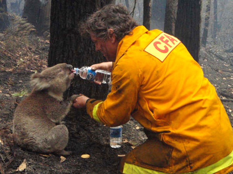 Rural Fire Service (RFS) crews engage in property protection of a number of homes along the Old Hume Highway near the town of Tahmoor as the Green Wattle Creek Fire threatens a number of communities in the south west of Sydney, Thursday, December 19, 2019.