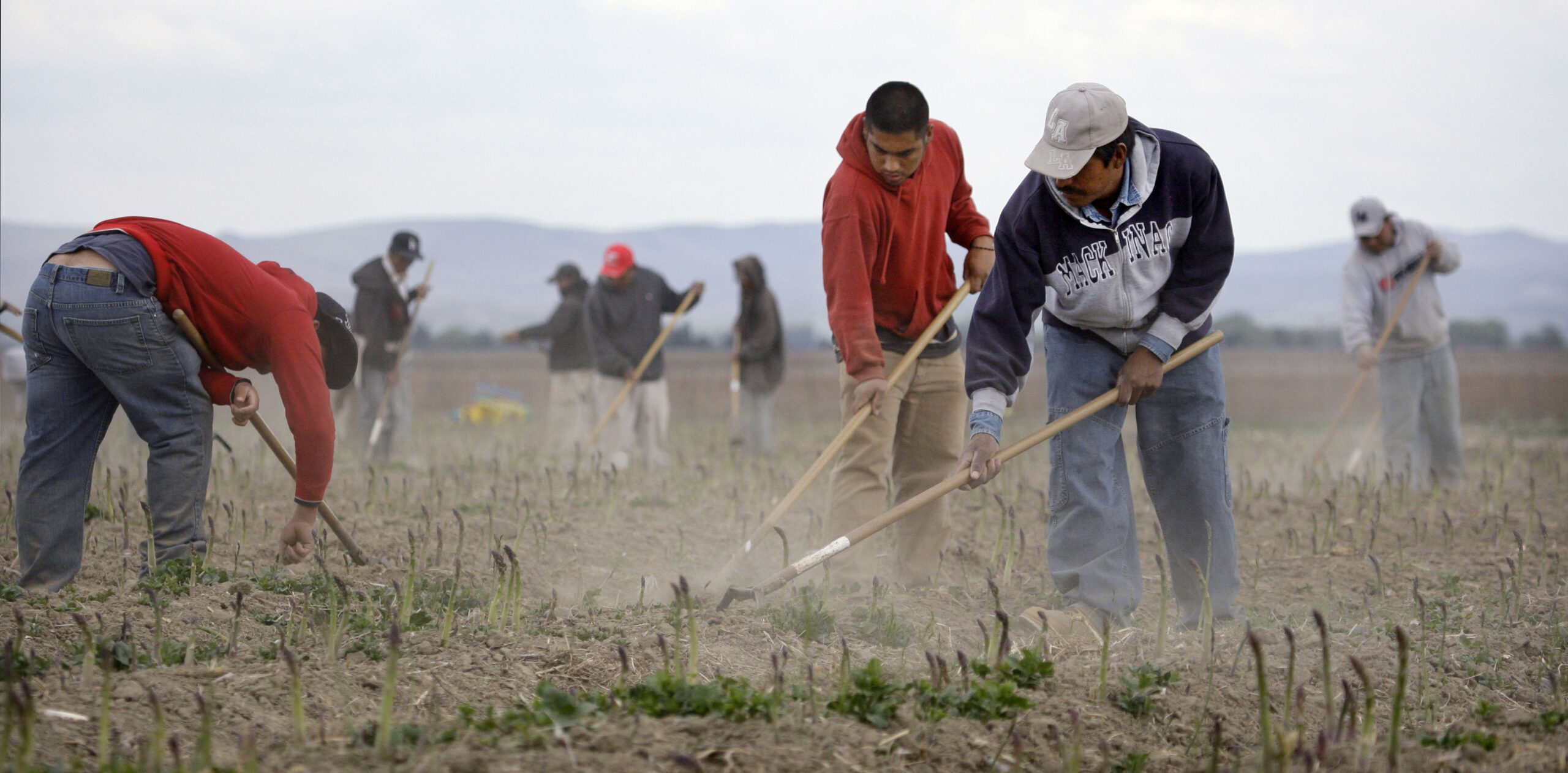 Administration rallies for mandatory E-Verify to stop illegal employment