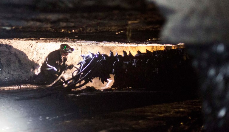 A coal miner works next to a drill in an underground coal mine roughly 40-inches-high, in Welch, W.Va.