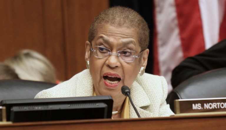 Del. Eleanor Holmes Norton, D-D.C., speaks on Capitol Hill in Washington. District of Columbia voters will decide whether they want the nation's capital to become its 51st state.