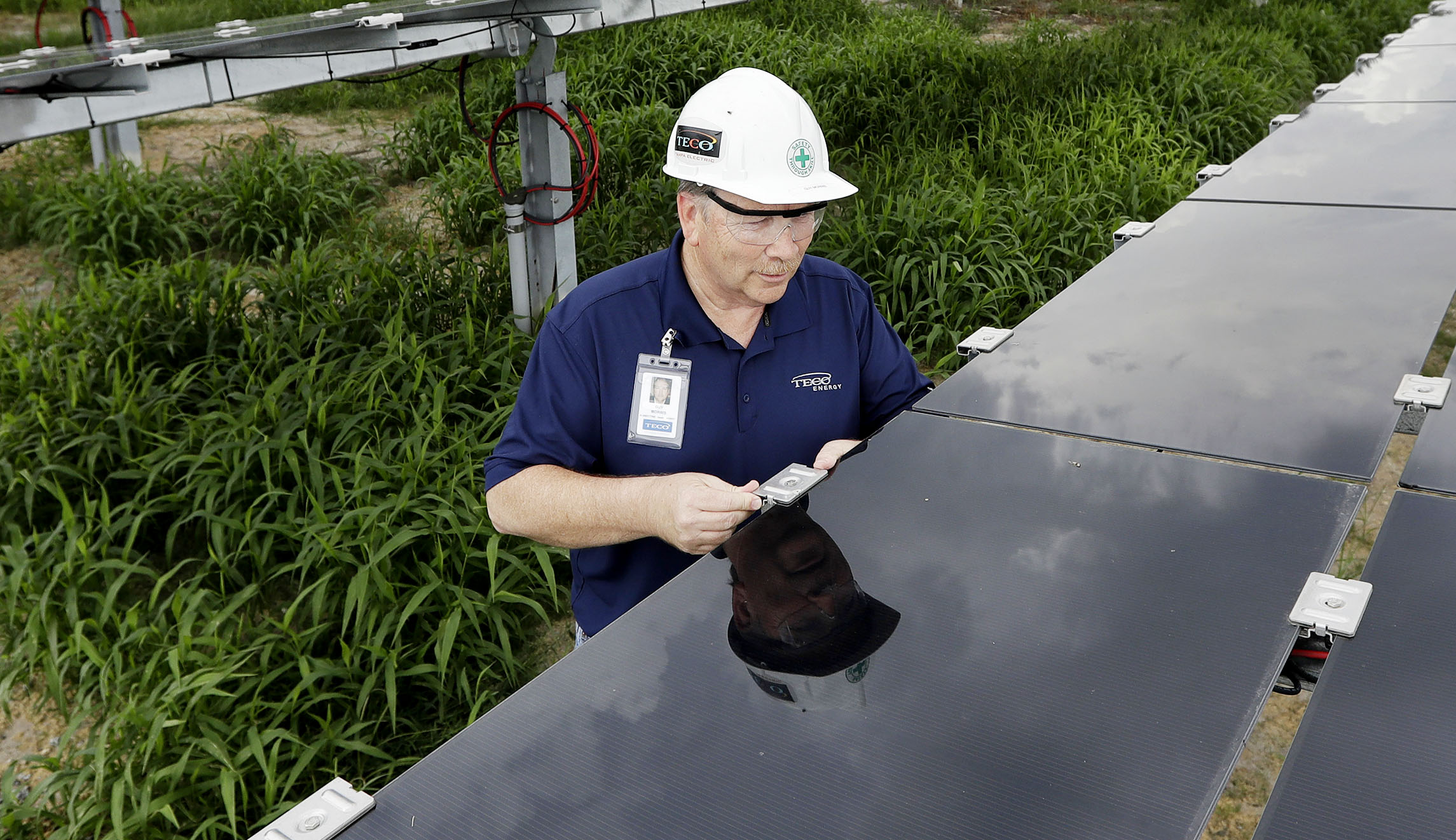 Solar industry blames Trump’s tariffs for slow third-quarter growth