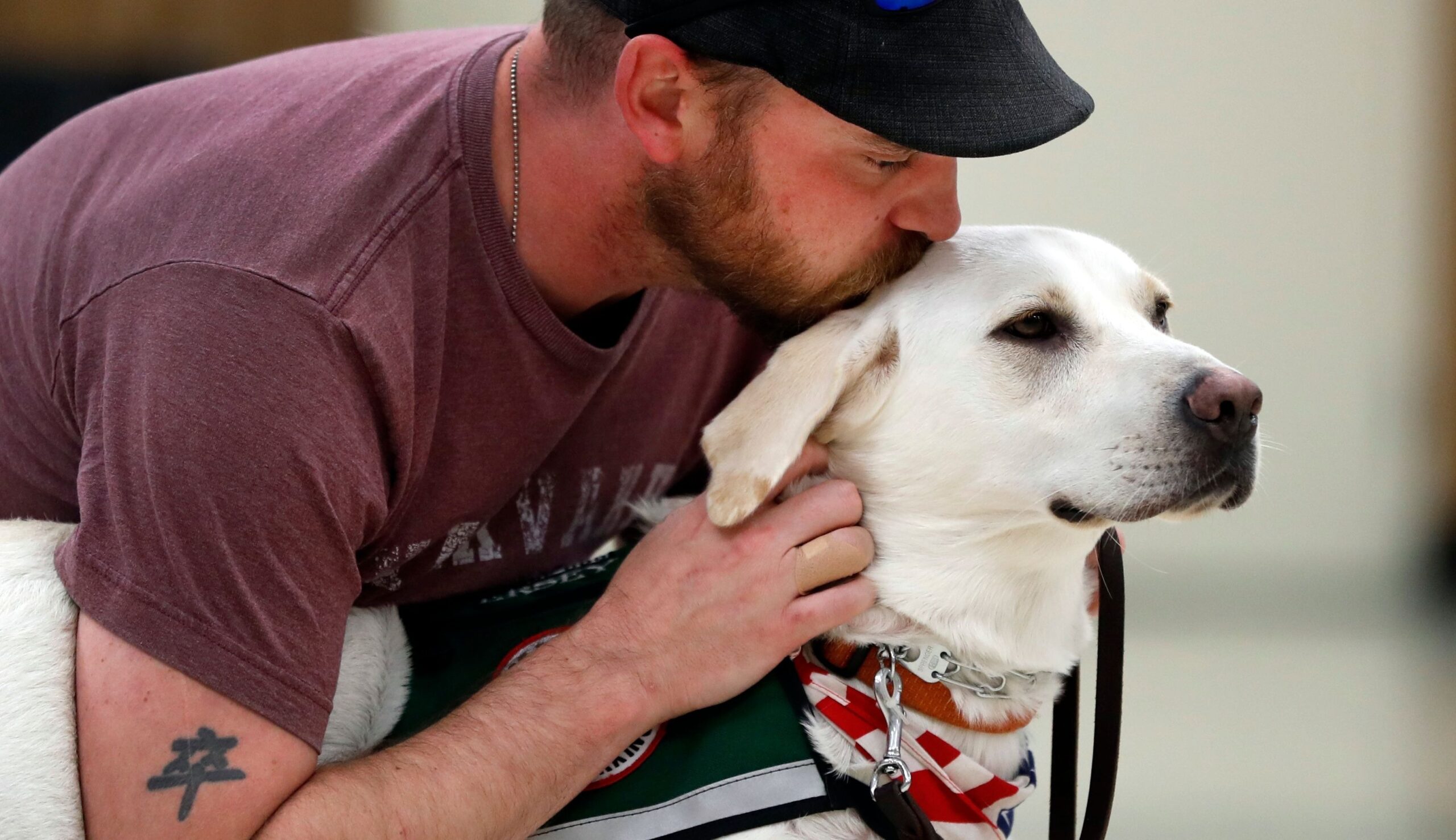 Service dogs could be a solution to the veteran suicide crisis