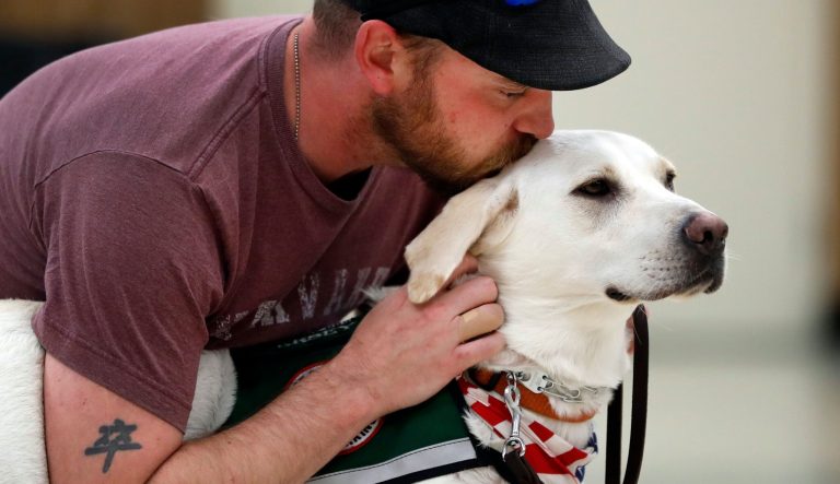 Army veteran Jacob Burns bonds with Jersey, his new support dog, as part of a training session together Thursday, Oct. 5, 2017, in Collinsville, Ill. 