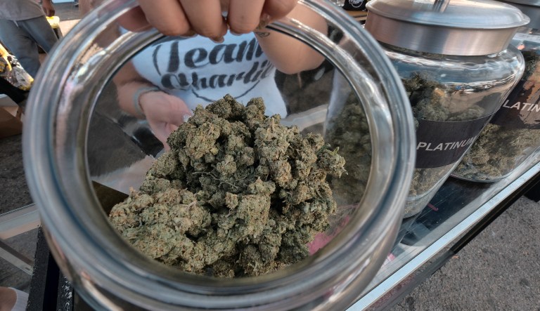 FILE- This Saturday, Nov. 11, 2017, file photo, shows one of an assortment of marijuana strains during the High Times Harvest Cup in San Bernardino, Calif. California released long-awaited rules Thursday, Nov. 17, that will govern the state's emerging legal marijuana industry. Recreational sales of marijuana will become legal on Jan. 1, 2018. 