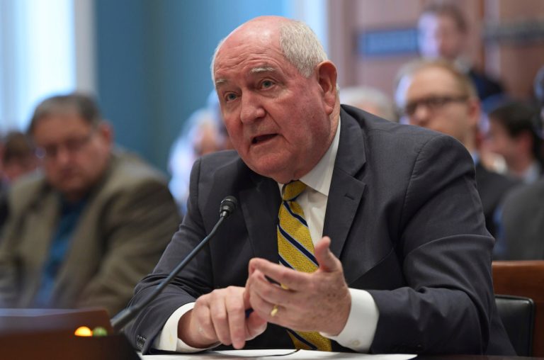 Agriculture Secretary Sonny Perdue speaks on Capitol Hill in Washington during a hearing on the rural economy.