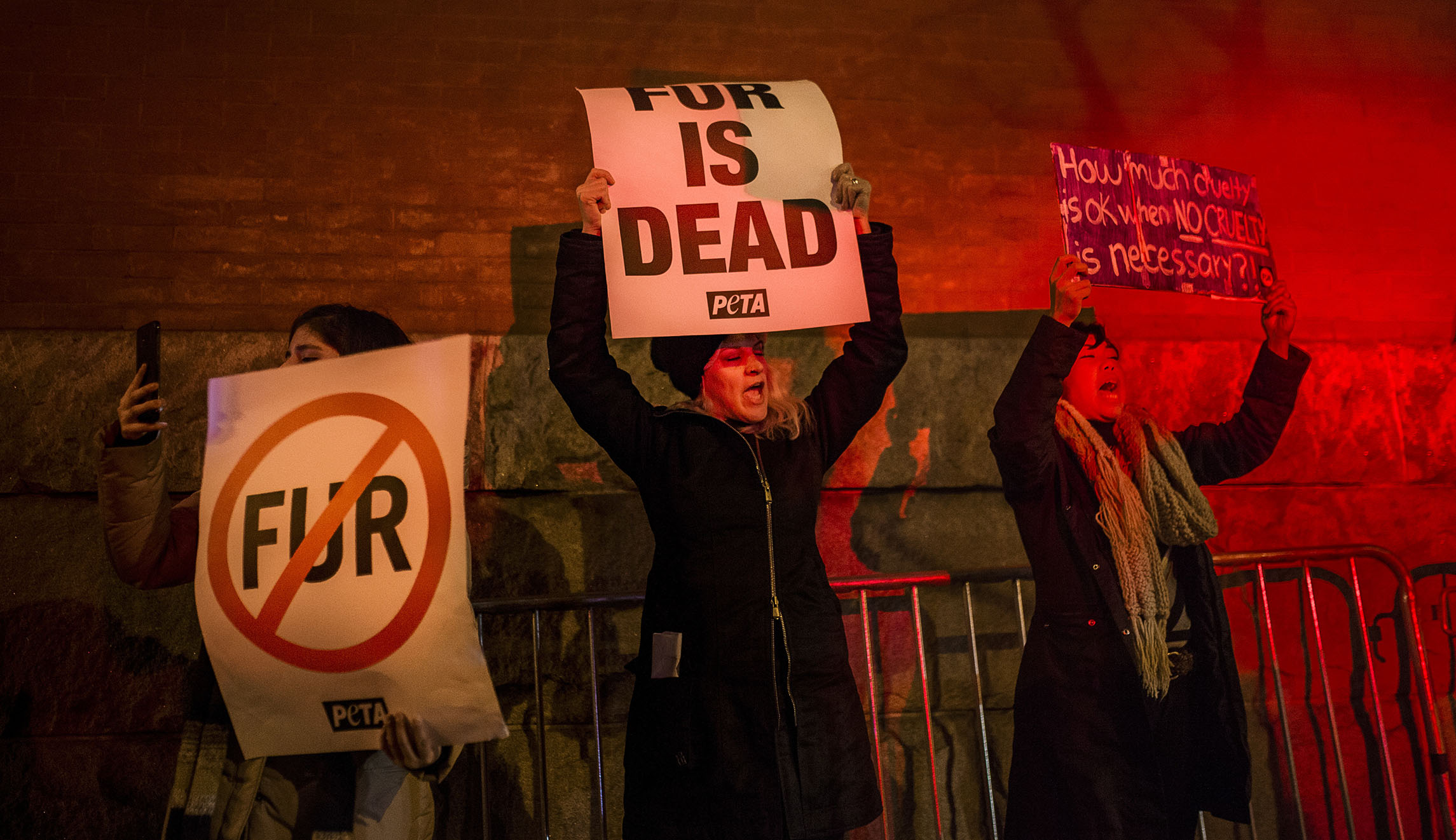 Why doesn’t PETA use its money to help animals?