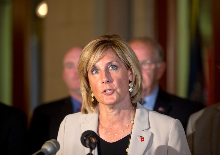 In this June 10, 2015 file photo, assemblywoman Claudia Tenney, R-New Hartford, speaks during a news conference at the Capitol, in Albany, N.Y.