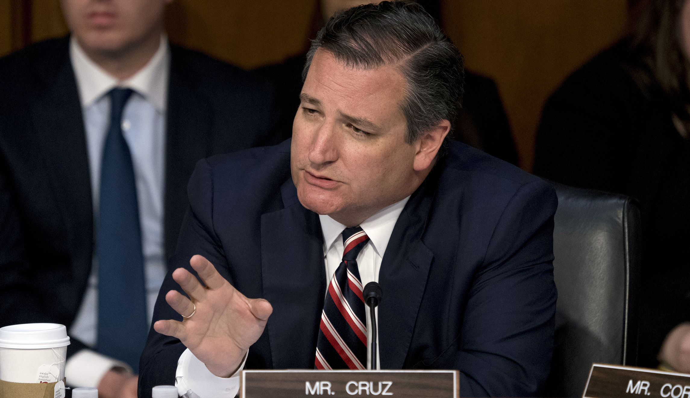 Ted Cruz: Anti-Trump media is ‘out of their mind’