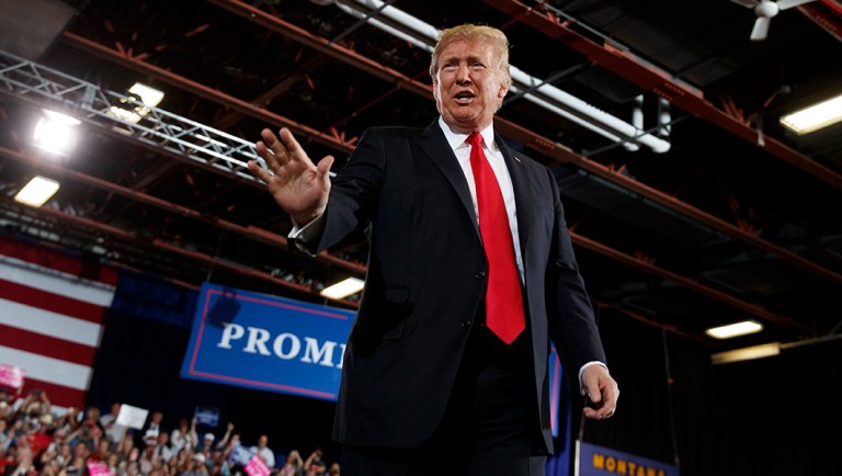 Trump says he’d use net to capture ‘clown’ who climbed Statue of Liberty