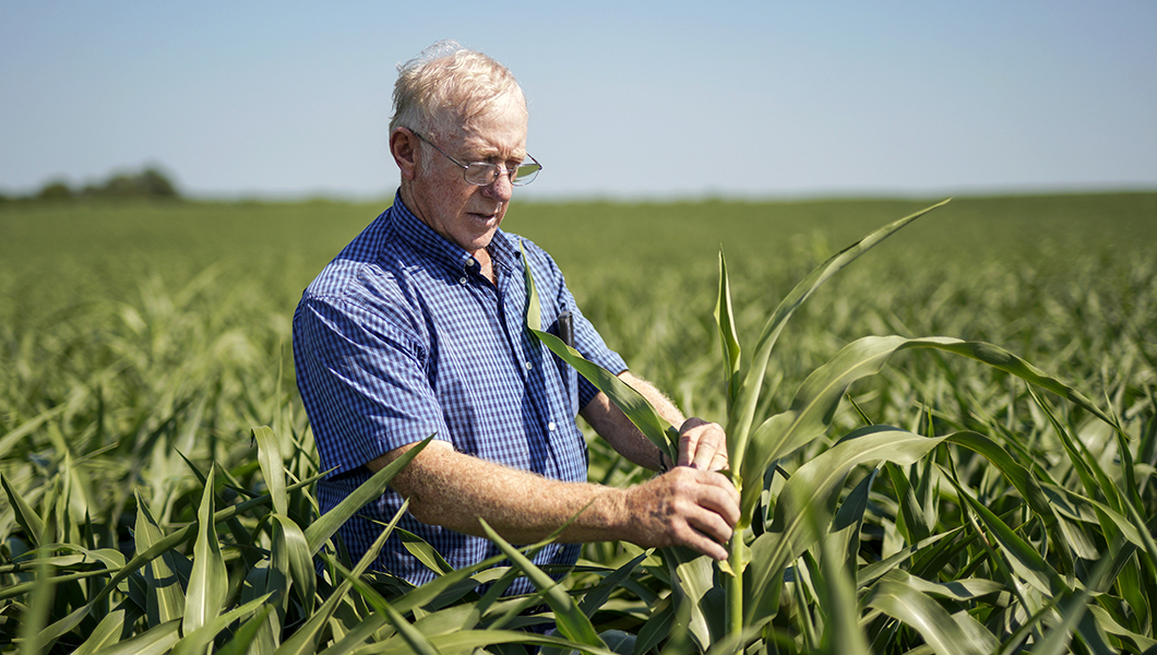 EPA uses sorghum to help farmers cope with trade war