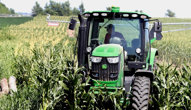 Farmer Tim Novotny, of Wahoo, shreds male corn plants in a field of seed corn, in Wahoo, Neb.