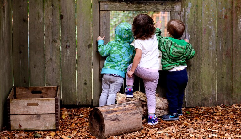 Children peer out a screened window in the fence at the Wallingford Child Care Center in Seattle.